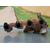 Turbocompresor Para Ford Focus Berlina