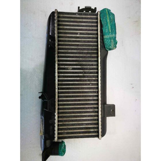 Intercooler Para Citroen Zx