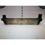 Intercooler Para Bmw Serie 5 Berlina