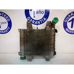 Intercooler Para Kia Carnival