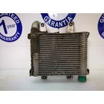 Intercooler Para Kia Carnival