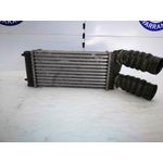 Intercooler Para Citroen C4 Berlina