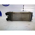 Intercooler Para Citroen Xsara Picasso