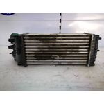 Intercooler Para Citroen Xsara Picasso