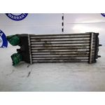 Intercooler Para Citroen Xsara Picasso