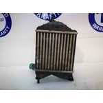 Intercooler Para Lancia Musa