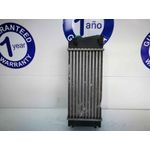 Intercooler Para Citroen C4 Coupe