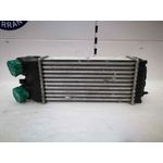 Intercooler Para Citroen Xsara Picasso