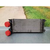 Intercooler Para Peugeot 3008