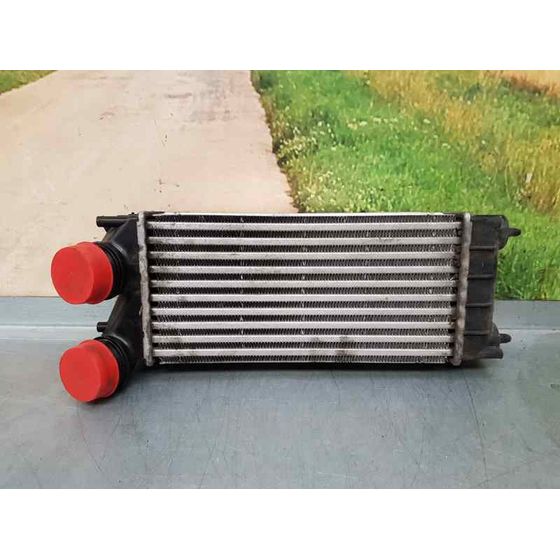 Intercooler Para Peugeot 3008