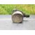 Depresor Freno / Bomba Vacio para Renault Clio Iii
