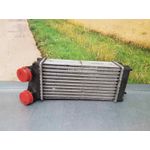 Intercooler Para Citroen C4 Coupe