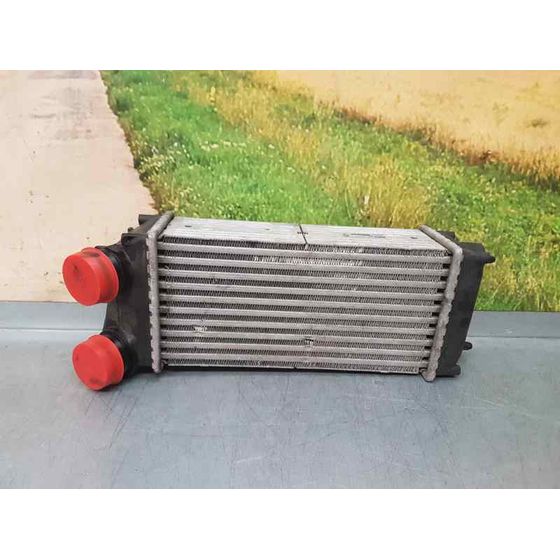 Intercooler Para Citroen C4 Coupe