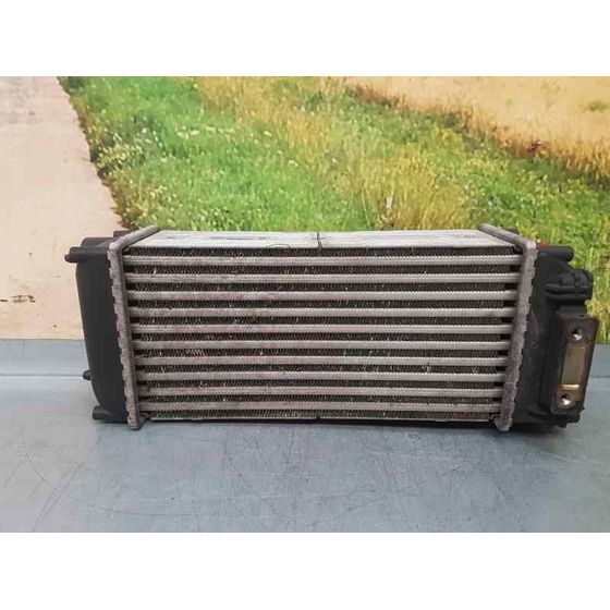 Intercooler Para Citroen C4 Coupe