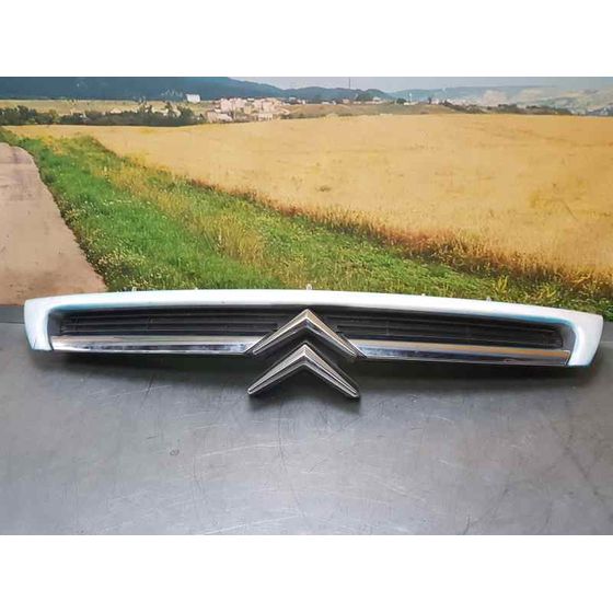 Rejilla Delantera Para Citroen C8