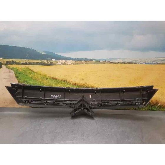 Rejilla Delantera Para Citroen C8