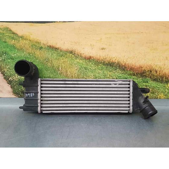 Intercooler Para Citroen C8