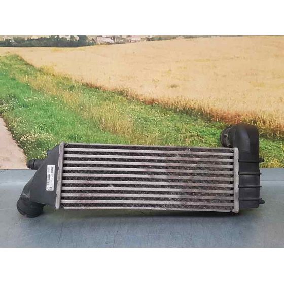 Intercooler Para Citroen C8
