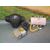 Kit Airbag Para Toyota Yaris