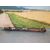 Transmision Central Para Isuzu Trooper