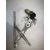 Elevalunas Trasero Derecho Para Mg Rover 200