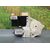 Motor Elevalunas Delantero Derecho Para Citroen C4 Coupe