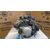 Motor Completo Para Aprilia Scarabeo