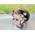 Bomba Direccion Para Peugeot 406 Berlina