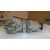 Diferencial Trasero Para Suzuki Sx4 Rw