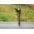 Inyector para Mercedes-Benz Clase C (W204) Familiar