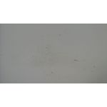 Puerta Delantera Derecha Para Miles Zx40St