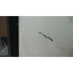 Puerta Delantera Izquierda Para Miles Zx40St