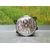 Faro Antiniebla Derecho Para Renault Scenic Iii