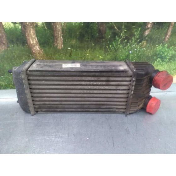 Intercooler Para Peugeot 207