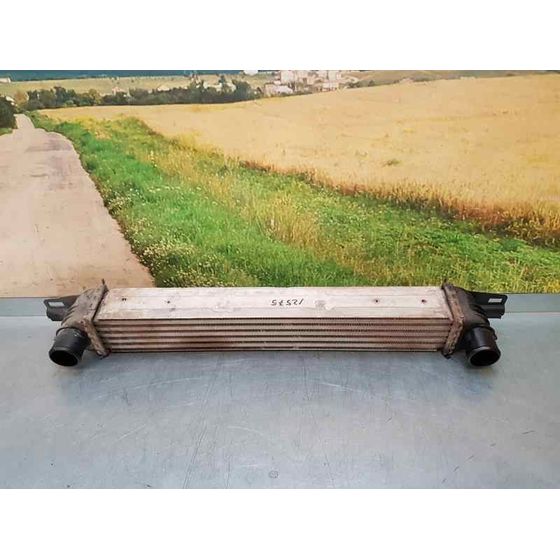 Intercooler Para Peugeot Bipper
