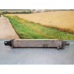 Intercooler Para Peugeot Bipper