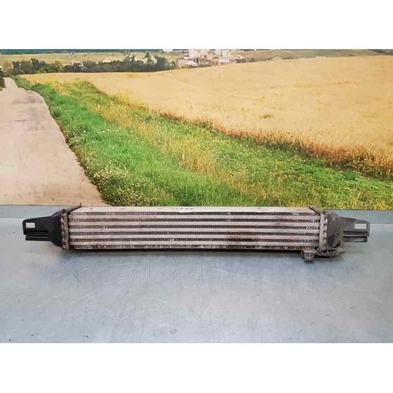 Intercooler Para Peugeot Bipper