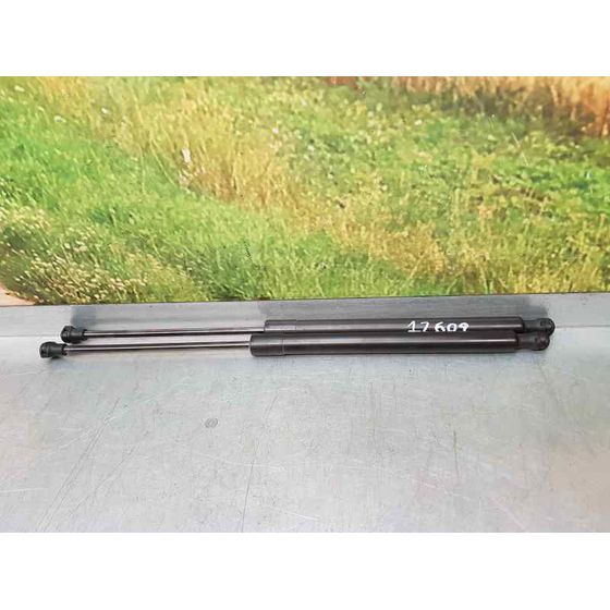 Amortiguadores Maletero / Porton Para Peugeot 208