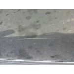 Puerta Trasera Izquierda para Citroen C6