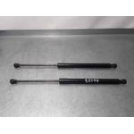 Amortiguadores Maletero / Porton Para Renault Clio Iv