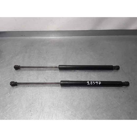 Amortiguadores Maletero / Porton Para Renault Clio Iv