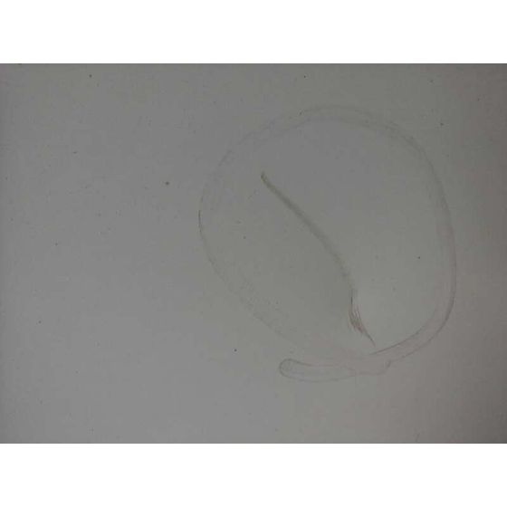 Puerta Delantera Derecha Para Peugeot Boxer Camión