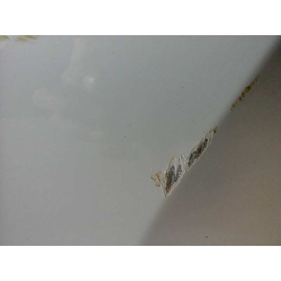 Porton Trasero Para Kia Pro_Cee'd