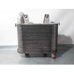 Intercooler Para Kia Carnival Ii