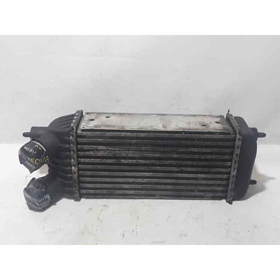 Intercooler Para Peugeot Expert Kasten