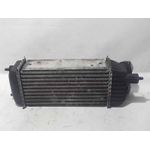 Intercooler Para Peugeot Expert Kasten