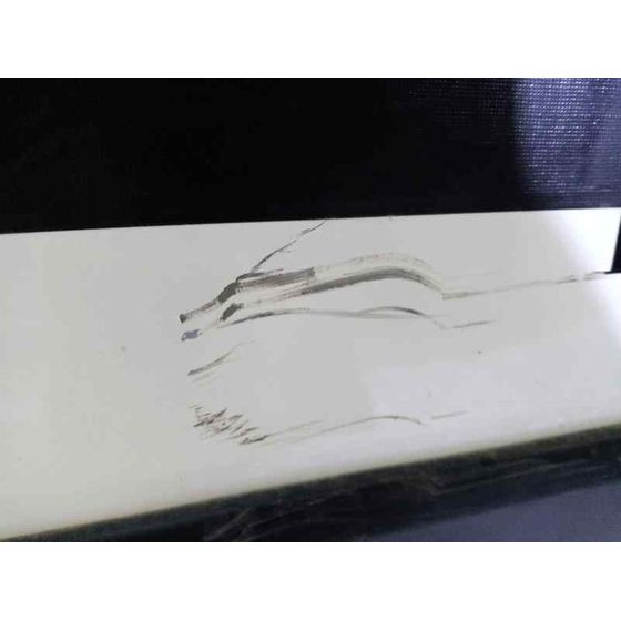Puerta Delantera Izquierda Para Peugeot Bipper