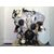 Motor Completo Para Nissan Maxima Qx