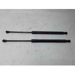 Amortiguadores Maletero / Porton Para Renault Clio Iv