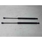 Amortiguadores Maletero / Porton Para Renault Clio Iv